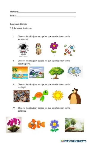 Prueba ramas de la ciencia