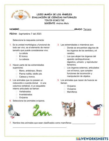 Evaluación ciencias 3-tercer periodo