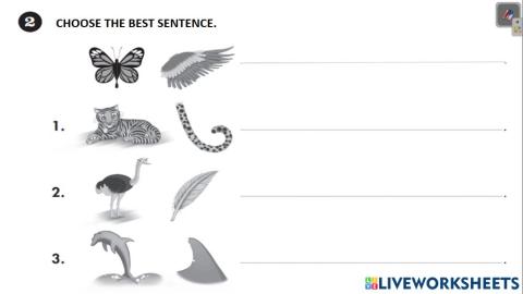 Test 2 -4th grade - saco oliveros unit 5