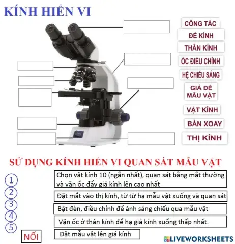 CẤU TẠO KÍNH HIỂN VI