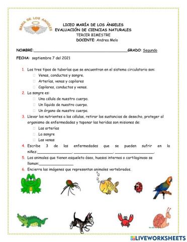 Evaluación ciencias 2-tercer periodo
