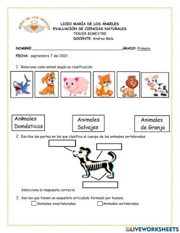 Evaluación ciencias 1-tercer periodo