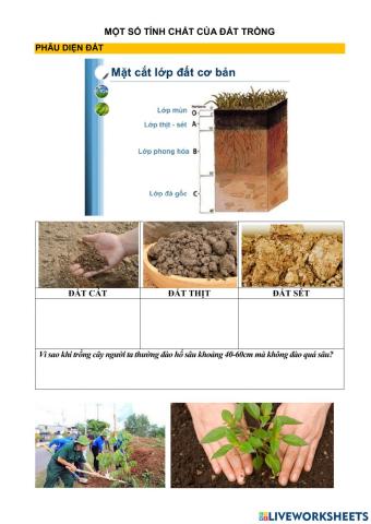 Tính chất đát trồng