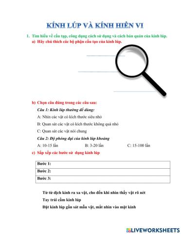 Kính lúp và kính hiển vi