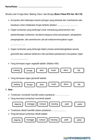 LKPD Struktur Fungsi Tumbuhan