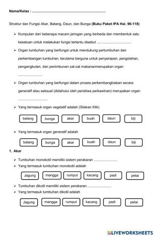 LKPD Struktur Fungsi Tumbuhan