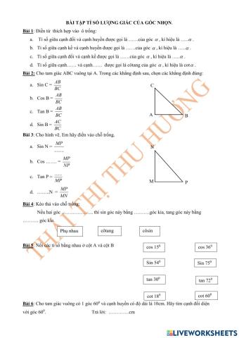 Bài tập lí thuyết tỉ số lượng giác của góc nhọn