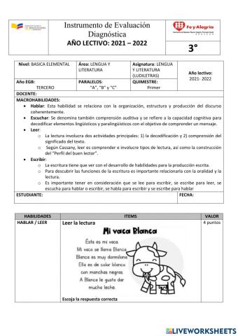 Diagnóstico de Ludi