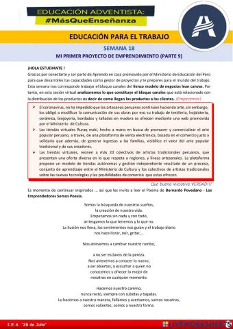 Mi primer proyecto de emprendimiento IX