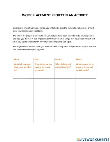 Work placement project plan