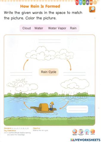 Rain Cycle
