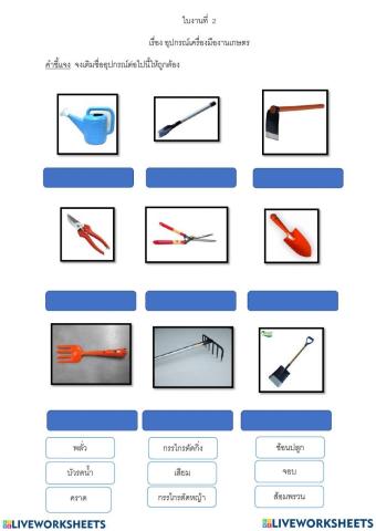 ์นุทรัช  อิ่มใจ