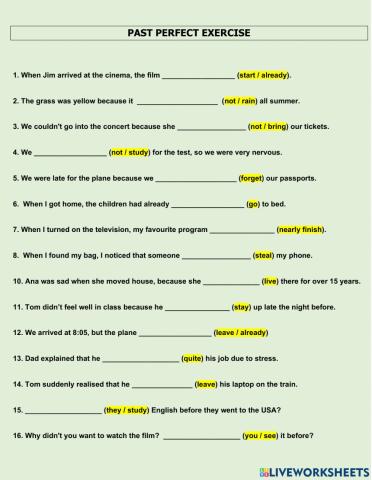 Past perfect practice