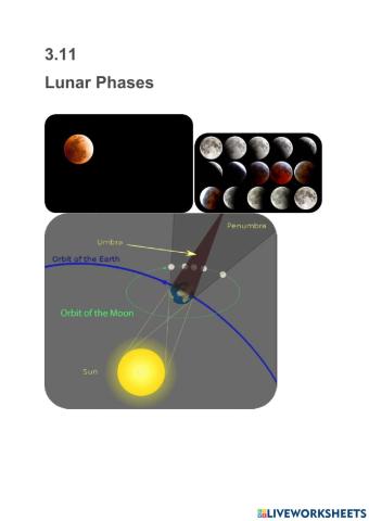 3.11 Lunar Phases