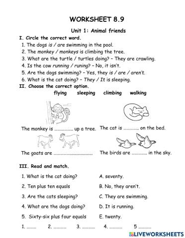 Worksheet 7.9 Grade 2