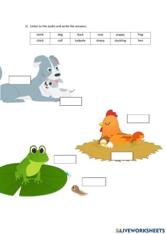 English (Life Cycle of Animals)