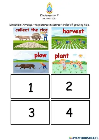 Kindergarten 2: Rice