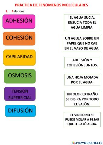 Fenómenos moleculares