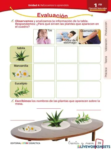 Utilidades de las plantas