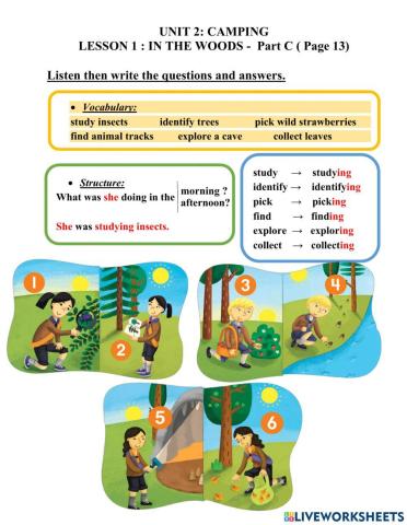 EU 5 - U2-L1 - In the Woods (1)