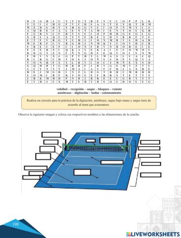 La cancha de voleibol