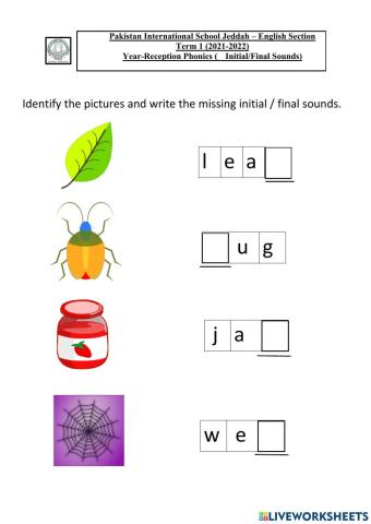 Choose and write the correct final -initial sounds.