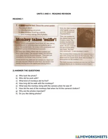 Reading - past simple and continuous