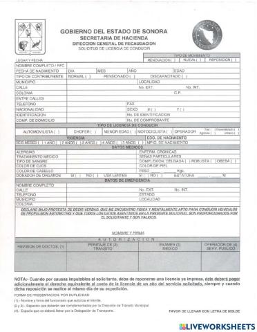 Licencia de Conducir
