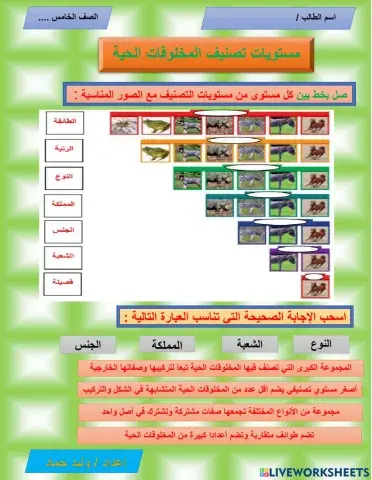 مستويات تصنيف المخلوقات الحية