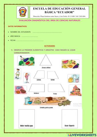 Evaluacion diagnostica de ciencias naturales