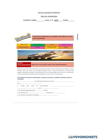 Effects of a contaminated environment