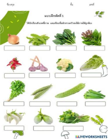 ผักสวนครัว