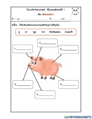 ป.1 ส่วนต่างๆของสัตว์