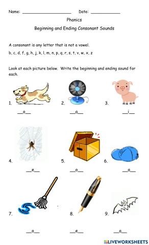 Phonics Beginning and Ending Consonants