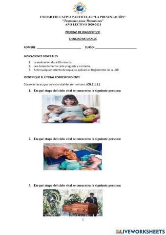 Diagnostica ciencias