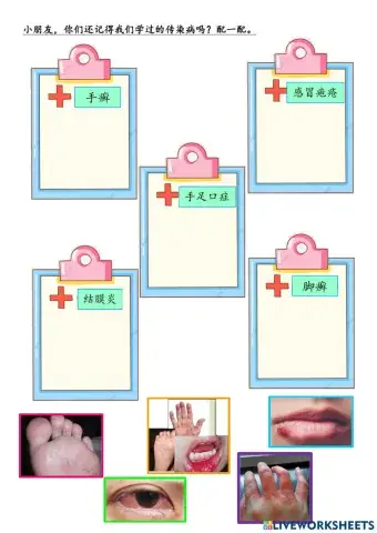 二年级健康教育