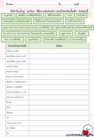 ฮอร์โมน (ม.6-3)