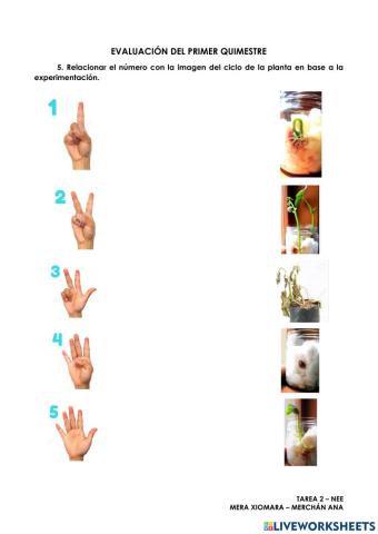 Evaluación de Primer Quimestre