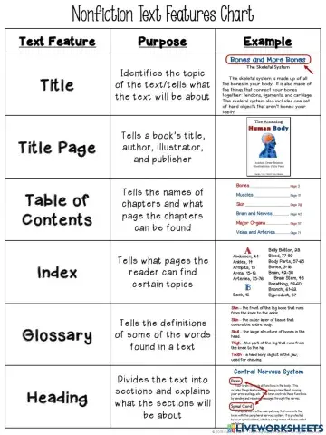 Text Features Chart