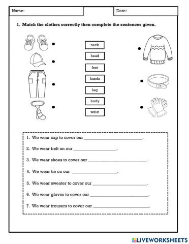 Unit 8: The Robot ( Clothes)