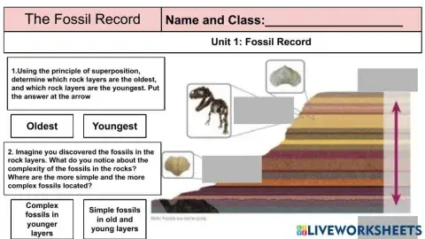 Fossil Record Inspire Science