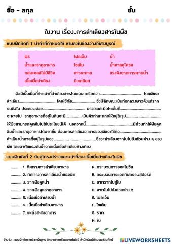 ใบงาน การลำเลียงสารในพืช
