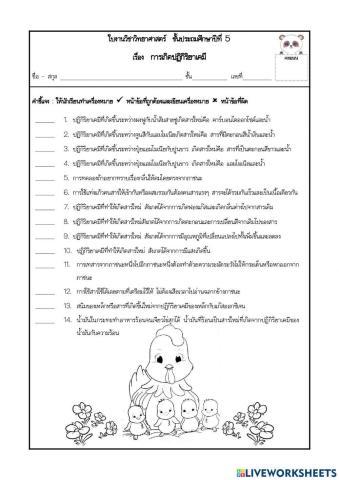 ใบงาน เรื่อง การเปลี่ยนแปลงทางเคมี