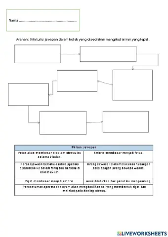 Pendidikan Kesihatan