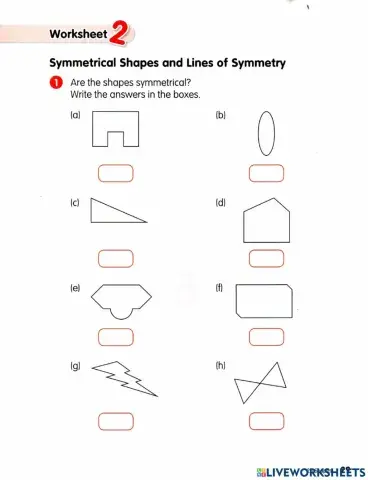 Assessment 2D and 3D shapes
