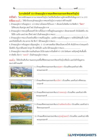ใบงานอัตนัยที่ 10.4 ลักษณะภูมิอากาศและพืชพรรณธรรมชาติของทวีปยุโรป