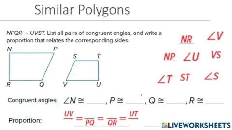 Similar Polygons