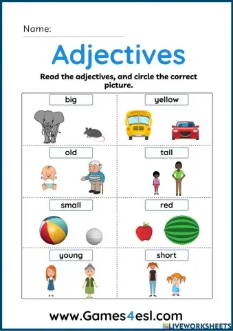 Adjectives