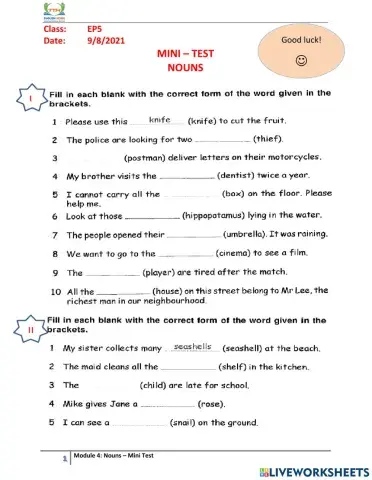 EP5 - Nouns - Mini Test