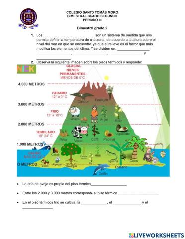Bimestral grado 2 III